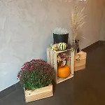 Hotel City.city Ostrava