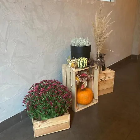 Hotel City.city Ostrava