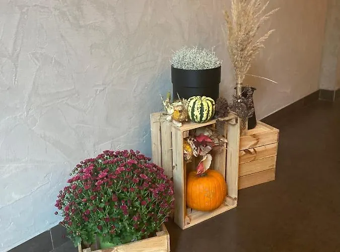 Hotel City.city Ostrava